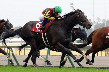 【競馬予想】[2]第62回金鯱賞(GⅡ) /2026