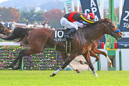 【競馬予想】第59回ステイヤーズステークス(GⅡ) /2025