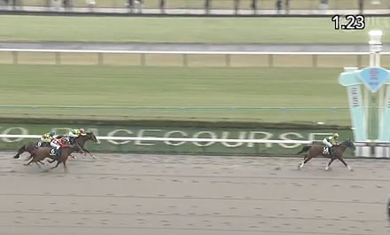 【オキザリス賞】サトノボヤージュ強すぎワロタwww