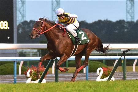 ネロ産駒 明日の小倉5R新馬戦に怒涛の7頭出し