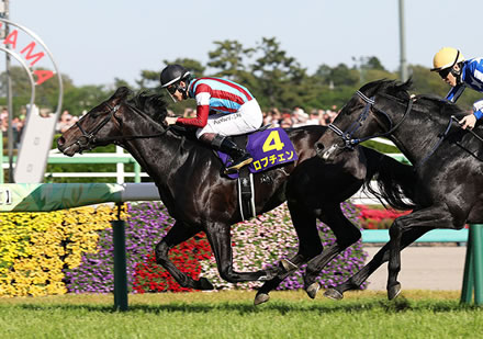 吉田照哉「春天勝っても種牡馬価値無い」→G1の勝ち鞍長距離だけの馬の産駒が皐月賞勝利