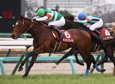 ダービー馬タスティエーラは菊花賞直行