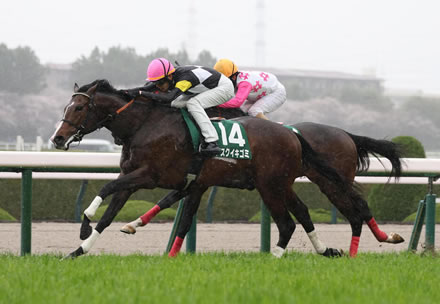 【チャーチルダウンズC】アスクイキゴミ　デビュー2連勝で重賞初制覇！3連単160万円超の大波乱