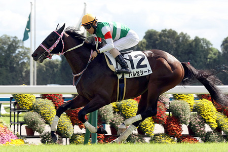 【競馬予想】[1]第60回シンザン記念(GⅢ) /2025