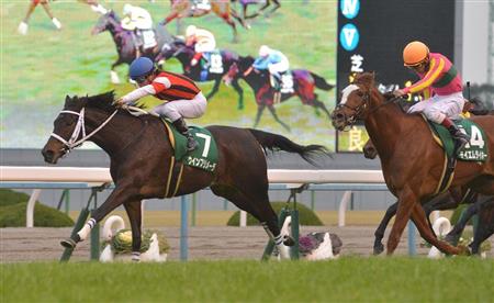 【競馬予想】2第64回クイーンステークス(G3) ｜ ☆うまなみ ...