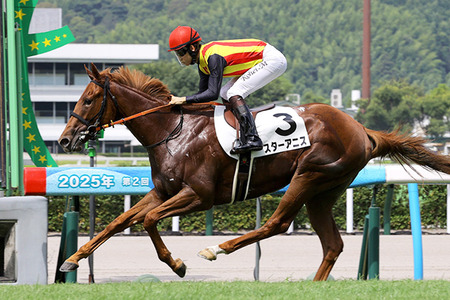 【競馬予想】[3]第77回阪神ジュベナイルフィリーズ(GⅠ) /2025