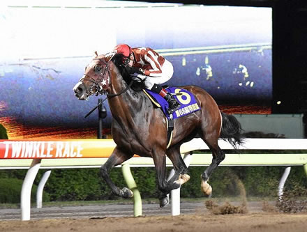 今年は地方ダート3歳が豊作な件