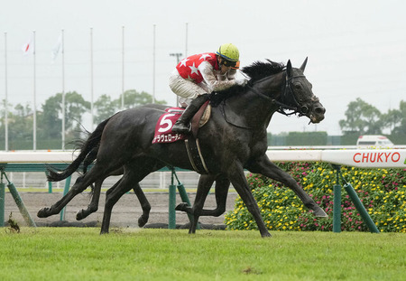 ステラヴェローチェは横山典と再コンビで安田記念へ