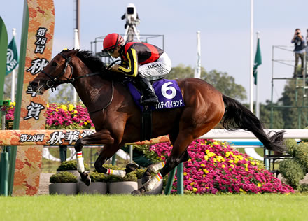 リバティアイランド ドバイシーマCから始動！鞍上は引き続き川田