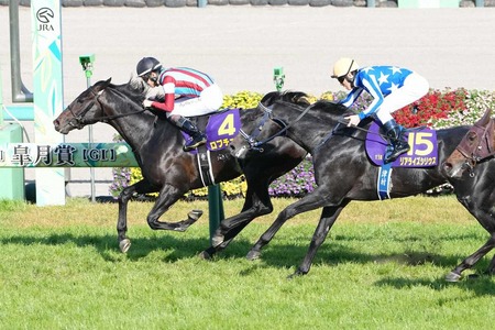 【皐月賞】ロブチェン強すぎワロタｗｗｗwｗｗ