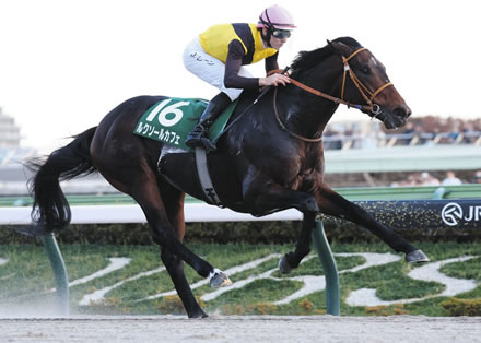 【武蔵野S】3歳馬ルクソールカフェが重賞初勝利！コスタノヴァ2着死守