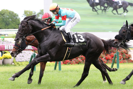 https://livedoor.blogimg.jp/ltdslip2000/imgs/8/5/85651382-s.jpg