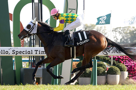 【競馬予想】[2]第77回阪神ジュベナイルフィリーズ(GⅠ) /2025