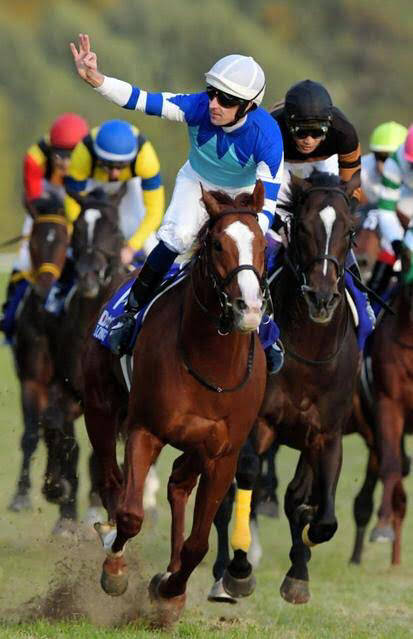競馬 心震えるガッツポーズ集めろ うまなみ 競馬にゅーす速報 競馬 心震えるガッツポーズ集めろ うまなみ 競馬にゅーす速報