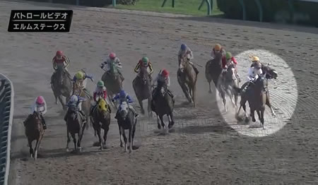 【エルムS】サメカツ、今度はミッキーヌチバナで丹内にタックル