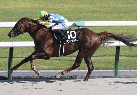 【プロキオンS】ドンフランキー接戦制し重賞初制覇！JRA重賞最高馬体重勝利記録を更新