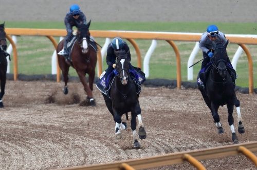 日本ダービー ダノンプレミアム最終追い切りでラスト１f11 0 うまなみ 競馬にゅーす速報