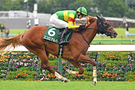 【競馬予想】[2]第77回朝日杯フューチュリティステークス(GⅠ) /2025