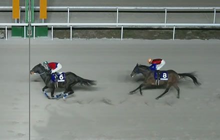 【東海菊花賞】シンメデージー単勝1.0倍で負けるｗｗｗ