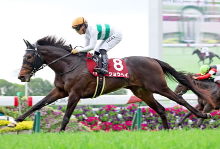 【競馬予想】[3] 第86回菊花賞(GⅠ) /2025