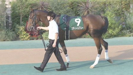 【競馬予想】第40回フェアリーステークス(GⅢ) /2024