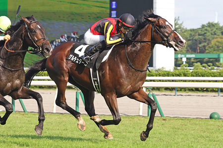 【競馬予想】[1]第73回日経新春杯(GⅡ) /2026