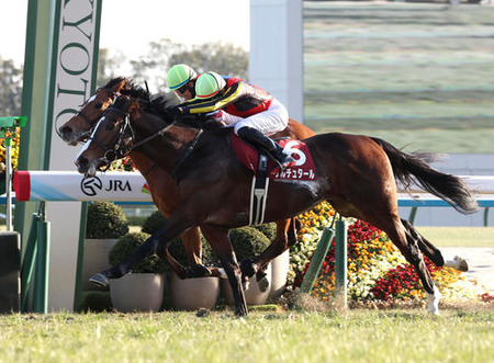 【日経新春杯】ゲルチュタール直線叩き合いクビ差制す！重賞初制覇