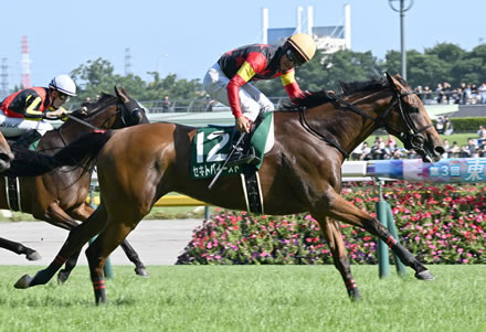 【府中牝馬S】セキトバイーストがゴール前で抜け出してV！重賞初制覇