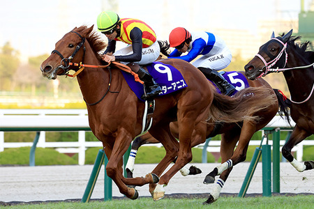 【桜花賞】スターアニスってどうなん？