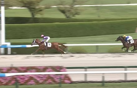 【2歳新馬】聖奈ジュウリョクピエロ強すぎワロタw