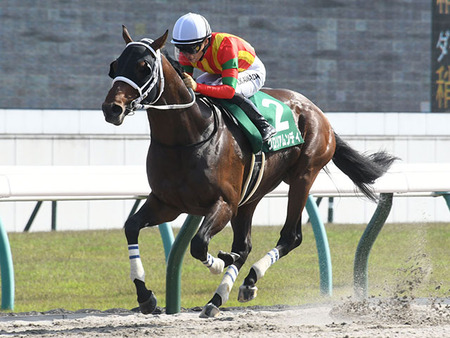 グロリアムンディ、コリアカップは坂井瑠星と参戦　川田はクラウンプライド騎乗