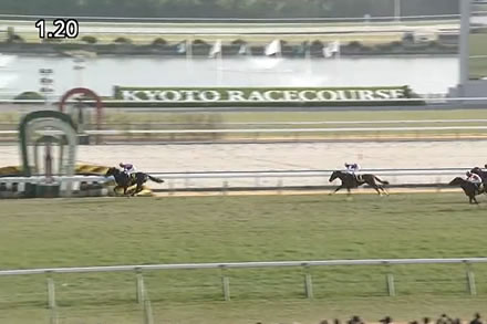 【紅梅S】リリージョワ強すぎワロタwww