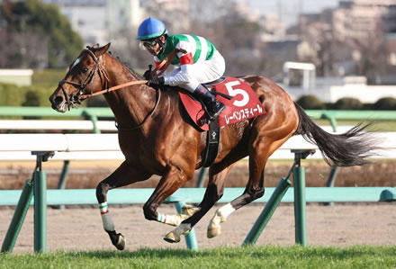 【中山記念】レーベンスティールが快勝！重賞5勝目 G2は4勝目