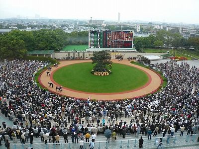 競馬 結果 京都