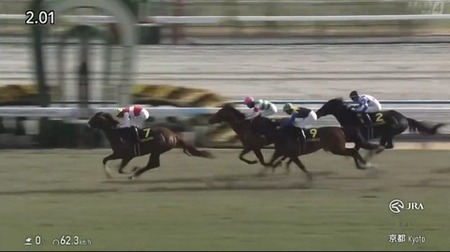 ショウナンハヤナミ強すぎワロタ