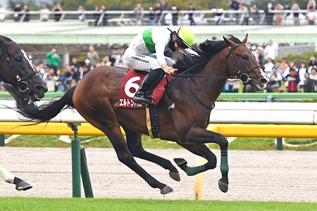 【競馬予想】[2]第76回東京新聞杯(GⅢ) /2026