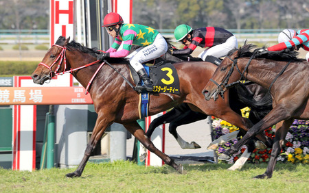 藤岡佑介が土曜4勝目ワロタ w w w