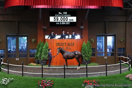 3億円以上の高額馬はG1どころか重賞すら勝てないのに買ってしまうのか