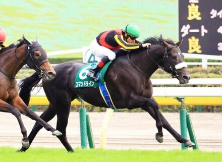 障害未勝利で競走中止コマンドラインが引退ｗｗｗ