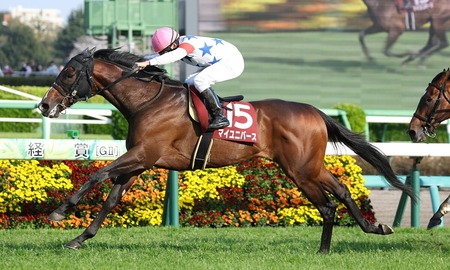 【日経賞】４番人気のマイユニバースが連勝で重賞初制覇