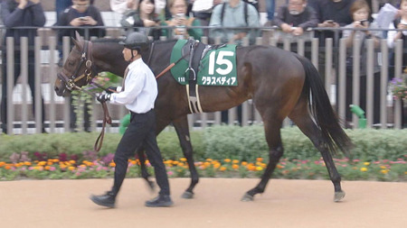 6番人気17着大惨敗！クラスペディア小崎が衝撃のコメント