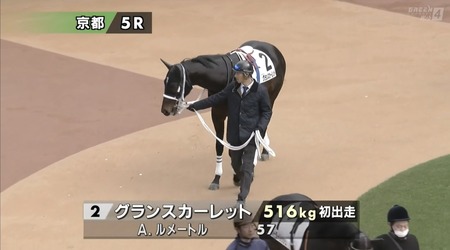 ダイワスカーレットの最後の産駒で唯一の牡馬グランスカーレットも駄馬だった件