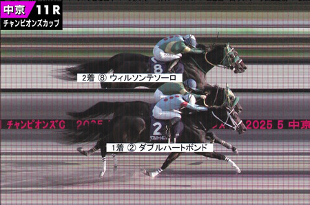 【チャンピオンズC】ウィルソンテソーロ写真判定ハナ差で3年連続2着