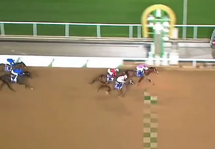 サウジダービー 戸崎騎乗 ピンクカメハメハが制覇 うまなみ 競馬にゅーす速報 サウジダービー 戸崎騎乗 ピンクカメハメハが制覇 うまなみ 競馬にゅーす速報