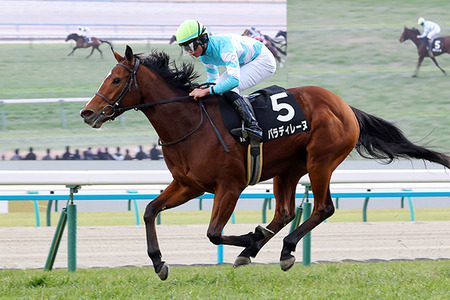 【競馬予想】[2]第50回エリザベス女王杯(GⅠ)/2025