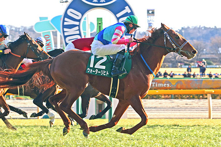 【競馬予想】[1]第76回東京新聞杯(GⅢ) /2026