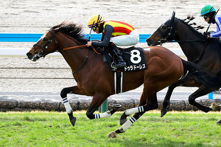【競馬予想】[2]第67回アメリカジョッキークラブカップ(GⅡ) /2026