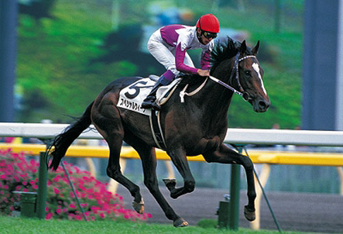 競馬 ニュース まなみ う 女性騎手２０年ぶり同日２人勝利 まなみ３勝目、菜七子は連日Ｖ/競馬・レース/デイリースポーツ