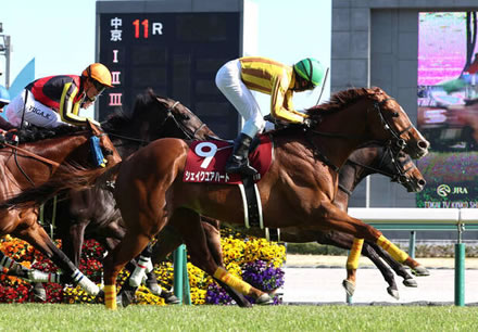 【金鯱賞】シェイクユアハートがハナ差制しＶ！重賞２勝目