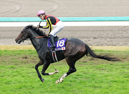 【宝塚記念】ジェラルディーナ団野から武豊に鞍上変更